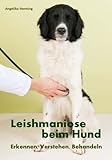 Leishmaniose beim Hund: Erkennen, Verstehen, Behandeln livre