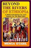 Beyond the Rivers of Ethiopia livre