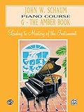 John W. Schaum Piano Course: G-The Amber Book: Leading to Mastery of the Instrumentc livre