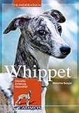 Whippet: Charakter, Erziehung und Gesundheit (Cadmos Hunderassen) livre