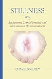 Stillness: Biodynamic Cranial Practice and the Evolution of Consciousness livre