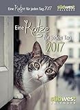 Eine Katze für jeden Tag 2017 ABK livre