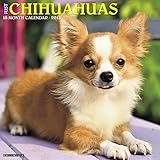 Just Chihuahuas 2018 Calendar livre