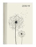 Campustimer Blowballs - A6 Semesterplaner - Studentenkalender 2018/2019 livre