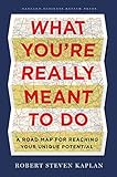 What You're Really Meant to Do: A Roadmap for Reaching Your Unique Potential livre