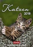 Katzen - Kalender 2018: Wochenkalender mit Zitaten livre