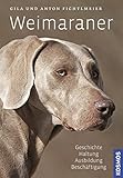 Weimaraner: Geschichte, Haltung, Ausbildung, Beschäftigung livre