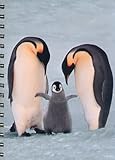 Penguin livre