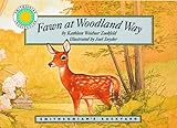 Fawn at Woodland Way livre