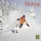 Skiing 2010 livre