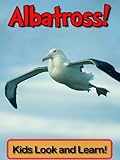 Albatross! Learn About Albatross and Enjoy Colorful Pictures - Look and Learn! (50+ Photos of Albatr livre