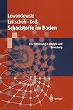 Schadstoffe im Boden: Eine Einführung in Analytik und Bewertung (German Edition) livre