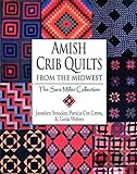 Amish Crib Quilts From the Midwest: The Sara Miller Collection livre