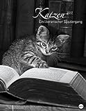 Katzen - Ein literarischer Spaziergang - Kalender 2017 livre
