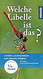 Welche Libelle ist das?: Heimische Arten nach Farbe bestimmen livre