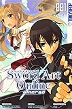 Sword Art Online - Aincrad 01 livre