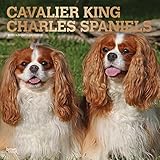 Cavalier King Charles Spaniels 2019 - 18-Monatskalender mit freier DogDays-App (Wall-Kalender) livre