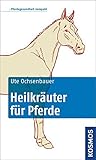 Heilkräuter für Pferde: Pferdegesundheit kompakt livre