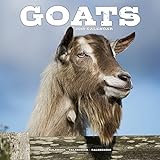Goats Calendar 2018 livre