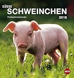 Schweinchen Postkartenkalender - Kalender 2018 livre