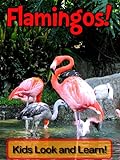 Flamingos! Learn About Flamingos and Enjoy Colorful Pictures - Look and Learn! (50+ Photos of Flamin livre