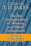Ten Commandments of Working in a Hostile Environment: Your Power Is Your Purpose livre