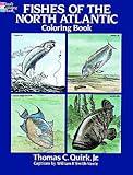 Fishes of the North Atlantic Color Book livre