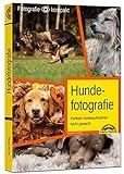 Hundefotografie - Perfekte Hundeaufnahmen leicht gemacht. livre