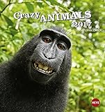 Crazy Animals Postkartenkalender - Kalender 2017 livre