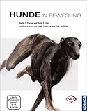 Hunde in Bewegung livre