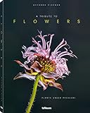 A Tribute to FLOWERS, Ein Bildband über die schwindende Welt aussterbender Blumen, Hardcover 22,3x2 livre