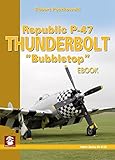 Republic P-47 Thunderbolt 