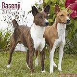 Basenji Calendar 2016 livre