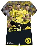 BVB Kalender 2018 - Borussia Dortmund Kalender, BVB Kalender, BVB 09, Trikotkalender, Fußballkalend livre