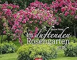 Im duftenden Rosengarten - Kalender 2018 livre