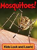 Mosquitoes! Learn About Mosquitoes and Enjoy Colorful Pictures - Look and Learn! (50+ Photos of Mosq livre