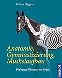 Anatomie, Gymnastizierung, Muskelaufbau: Die besten Übungen am Boden livre