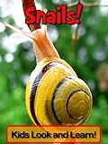 Snails! Learn About Snails and Enjoy Colorful Pictures - Look and Learn! (50+ Photos of Snails) (Eng livre