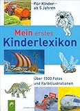 Mein erstes Kinderlexikon livre