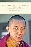 How To Practice Dharma: Teachings on the Eight Worldly Dharmas (FPMT Lineage Series Book 2) (English livre