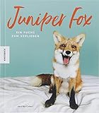 Juniper Fox: Ein Fuchs zum Verlieben livre
