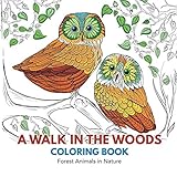 A Walk in the Woods Coloring Book: Forest Animals in Nature livre