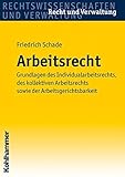 Arbeitsrecht: Grundlagen des Individualarbeitsrechts, des kollektiven Arbeitsrechts sowie der Arbeit livre