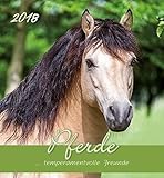 Pferde 2018 - Horses - Postkartenkalender (15 x 16) livre