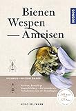 Bienen, Wespen, Ameisen: Staatenbildende Insekten Mitteleuropas livre