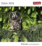 Eulen - Kalender 2018: Kalender mit 53 Postkarten livre