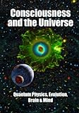 Consciousness and the Universe: Quantum Physics, Evolution, Brain & Mind livre