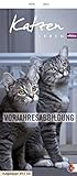 Whiskas Katzenleben 2014: Mit Katzengeschichten livre