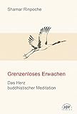 Grenzenloses Erwachen: Das Herz buddhistischer Meditation - Grundlegende Unterweisungen zur Shine- u livre