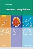 BASICS Anatomie - Leitungsbahnen livre